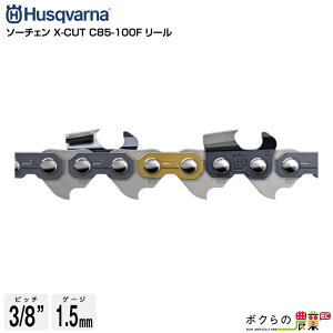 �y5/25����|�C���g�ő�5�{�z �n�X�N�o�[�i �\�[�`�F�� X-CUT C85-100F ���[�� 581626601
