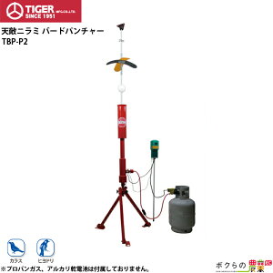 ^CK[ VGj~ o[hp`[ TBP-P2 vpKX^Cv 悯 Q h