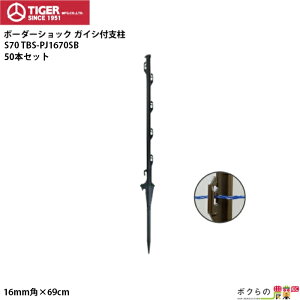 ^CK[ KCVtx S70 50{ a16mmp S69cm TBS-PJ1670SB dCp BORDER SHOCK {[_[VbN ƒ؉~jx CmVVEN}EACO}