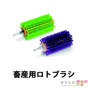 ySi|Cg10{IyVX[p[Z[聚vGg[z{Yp guV 12121 F͂Iт܂