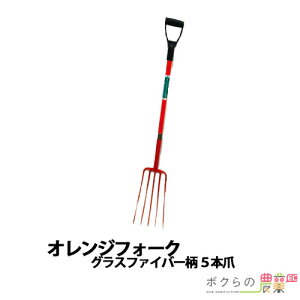 y12/1`12/31JÁIIm1/2ő100%PҌIvGg[z{Yp IWtH[N OXt@Co[ 5{ 31343