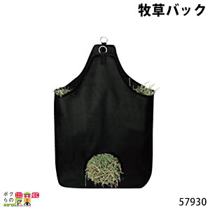 ySi|Cg10{IyVX[p[Z[聚vGg[zqobN 57930 GT aH    {Ypi _pi