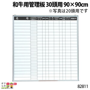 {Yp apǗ 30p 90×90cm 82811 JE{[h L^ L  {Y _ q{ YƓ ƒ{ {Ypi