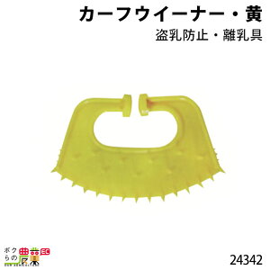{Yp J[tEC[i[  h~  24342   @ {Yp _ q{  {Ypi _pi