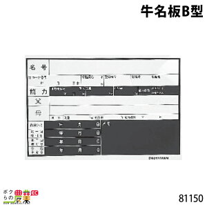 {Yp B^  30cm×45cm 81150  v[g {Y _ q{ YƓ ƒ{ {Ypi