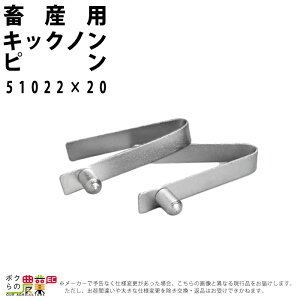 y12/1`12/31JÁIIm1/2ő100%PҌIvGg[z{Yp p  В LbNm s a5cm 51022 20 {Y _ q{ YƓ   { ƒ{ {Ypi