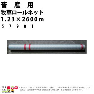 y12/1`12/31JÁIIm1/2ő100%PҌIvGg[z󒍐Y [ʓrē {Yp q[lbg1.23×2600m 57901 {Y _ q{ YƓ   { ƒ{ {Ypi