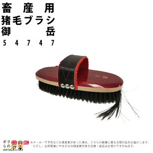 畜産用 猪毛ブラシ・御岳 54747 畜産 酪農 牧畜 産業動物 牛 豚 養豚 家畜 畜産用品
