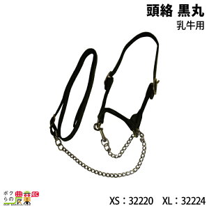 {Yp   p XS 32220 XL 32224 _pi _ _