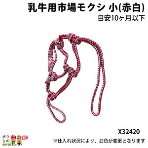 ySi|Cg10{IyVX[p[Z[聚vGg[z{Yp psꃂNV  Ԕ 32420 _pi _ _