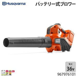 nXNo[i u[ 120iB 967976101 36V [d 莝 ő啗10.3m3/min 2kg uA[ obe[ [dʔ