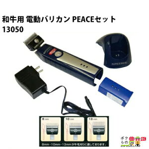 ap oJ PEACEZbg R[hXNbp[ 13050 ֐n2mm [d Zbg {Y _ q{ YƓ  ƒ{