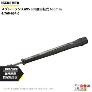 y12/1`12/31JÁIIm1/2ő100%PҌIvGg[zPq[ Xv[X AVS 4.760-664.0 @p X 360x] 600mm @ @ KAERCHER