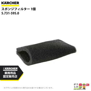 Pq[ X|WtB^[ 5.731-595.0 GꂽS~t̂̉p 1 ANZT[ i  KAERCHER