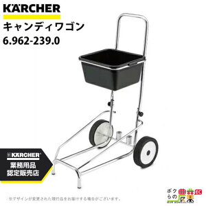 Pq[ LfBS 6.962-239.0 X`[N[i[p N[i[ ANZT KAERCHER