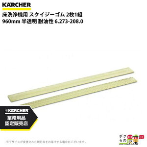 Pq[ XNCW[S 6.273-208.0 @p 21g @ ANZT @ KAERCHER