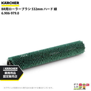 Pq[ [[uV BRp 6.906-979.0 @p 532mm n[h  @ ANZT @ KAERCHER