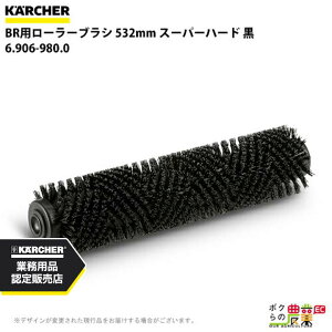 Pq[ [[uV BRp 6.906-980.0 @p 532mm X[p[n[h  @ ANZT @ KAERCHER