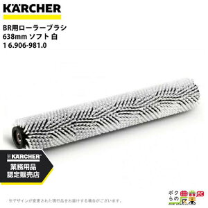 Pq[ [[uV BRp 6.906-981.0 @p 638mm \tg  @ ANZT @ KAERCHER