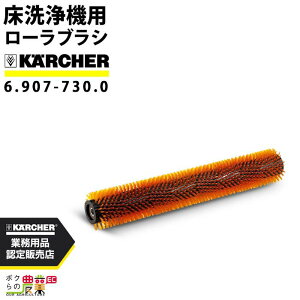 Pq[ [[uV R75p 6.907-730.0 @p 700mm  IW Pq[ ANZT i  KARCHER