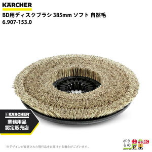 Pq[ fBXNuV BRp 6.907-153.0 @p 385mm \tg R @ ANZT @ KAERCHER