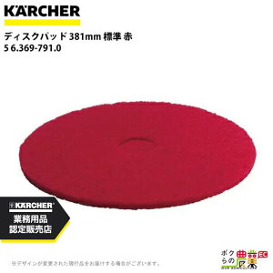 Pq[ fBXNpbh 381mm W  5 6.369-791.0 ANZT[ i  KAERCHER