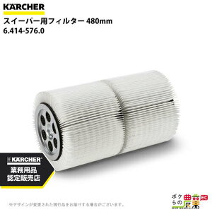 Pq[ tB^[ 6.414-576.0 Ɩp N[i[p 480mm N[i[ ANZT KAERCHER