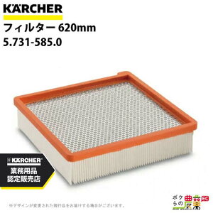 Pq[ tB^[ 5.731-585.0 Ɩp N[i[p 620mm N[i[ ANZT KAERCHER