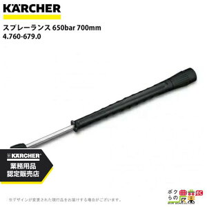 �P���q���[ �X�v���[�����X 4.760-679.0 �������@�p 650bar �������@ KAERCHER�yEASY!Lock ��Ή��z