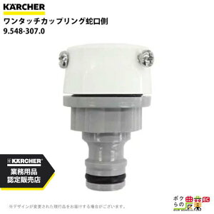 Pq[ ^b`JbvO 9.548-307.0 ֌ ANZT[ i  KAERCHER