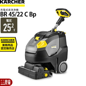 �����@ �P���q���[ �Ɩ��p BR45/22C Bp 1.783-462.0 �艟���� �o�b�e���[�� �o�b�e���[���� 25.2V