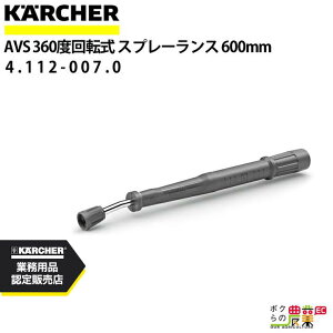 Pq[ Xv[XAVS 4.112-007.0 @p 600mm @ KAERCHERyEASY!Lock Ήz