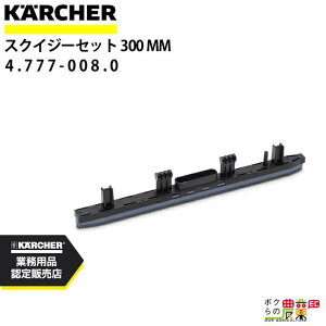 Pq[ XNCW[Zbg W300m 4.777-008.0 BR 30/4 C Bp p ANZT[ i  KAERCHER