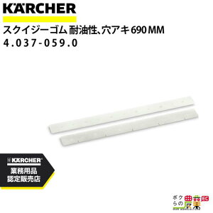 Pq[ XNCW[S 4.037-059.0 @p 21g @ ANZT @ KAERCHER