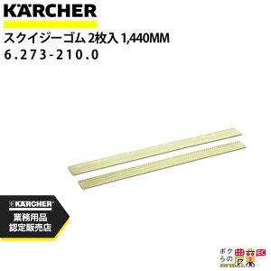 Pq[ XNCW[S 6.273-210.0 VXNCW[p 21g ANZT[ i  KAERCHER