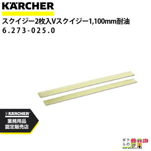 Pq[ XNCW[S 6.273-025.0 VXNCW[p 21g ANZT[ i  KAERCHER