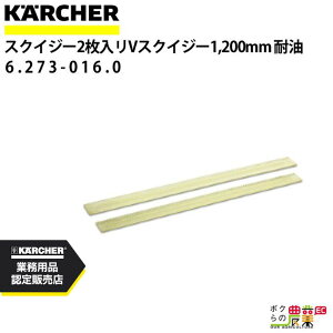 Pq[ XNCW[S 6.273-016.0 VXNCW[p 21g ANZT[ i  KAERCHER