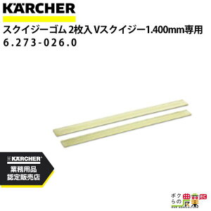 Pq[ XNCW[S 6.273-026.0 VXNCW[p 21g ANZT[ i  KAERCHER