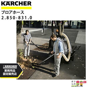 y12/1`12/31JÁIIm1/2ő100%PҌIvGg[zPq[ uA[z[X 2.850-831.0 IC 15/240 W pIvV z[X ANZT KAERCHER