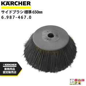 Pq[ TChuV 6.987-467.0 oL[XC[p[p 650mm XC[p ANZT KAERCHER