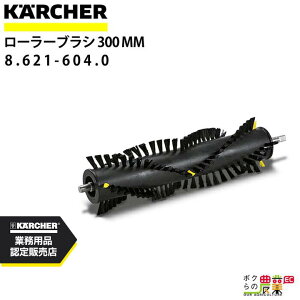 y11/12 12:00`聚ҏIʌN[|zzzPq[ [[uV WuV 8.621-604.0 N[i[p W N[i[ ANZT KAERCHER