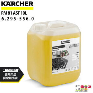 Pq[ fB[vN[i[ RM 81 ASF e10L 6.295-556.0 N[i[ ANZT |@ KAERCHER