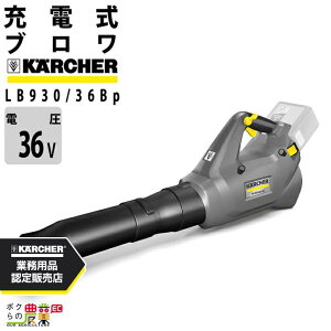 Pq[ uA LB 930/36 Bp 1.042-507.0 36V [d 莝 930m3/h 3kg u obe[[dʔ