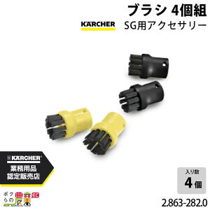 Pq[ uV 4g 2.863-282.0 X`[N[i[p SGVpANZT[ 4g KAERCHERyEASY!Lock Ήz