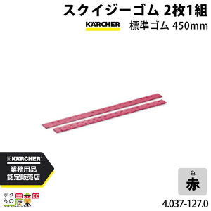 y12/1`12/31JÁIIm1/2ő100%PҌIvGg[zPq[ XNCW[S 4.037-127.0 @p 21g @ ANZT @ KAERCHER