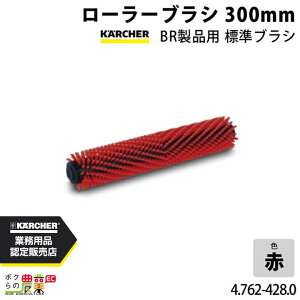 Pq[ [[uV 4.762-005.0 @p 300mm @ ANZT @ KAERCHER