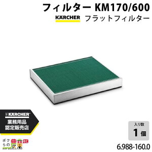 y11/12 12:00`聚ҏIʌN[|zzzPq[ tB^[ 6.988-160.0 Ɩp N[i[p KM170 N[i[ ANZT KAERCHER