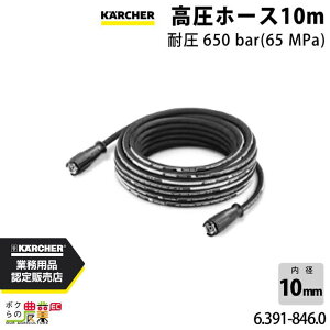 �P���q���[ �����z�[�X 10m �ψ�650bar 65MPa 6.391-846.0 �A�N�Z�T�� KAERCHER�yEASY!Lock ��Ή��z