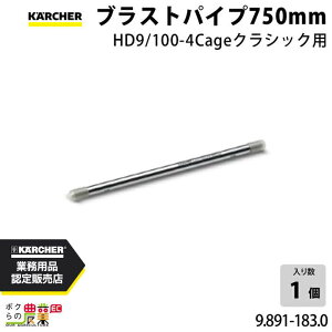 Pq[ Xv[X uXgpCv 9.891-183.0 NVbNp uXgpCv750mm ANZT[ i  KAERCHER