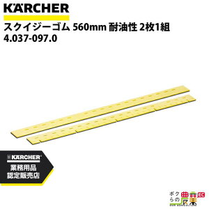 y12/1`12/31JÁIIm1/2ő100%PҌIvGg[zPq[ XNCW[S 4.037-097.0 @p  21g @ ANZT @ KAERCHER